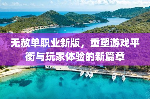 无赦单职业新版，重塑游戏平衡与玩家体验的新篇章