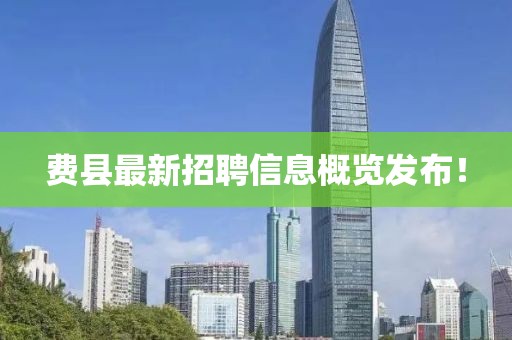 费县最新招聘信息概览发布！