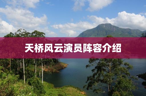 天桥风云演员阵容介绍
