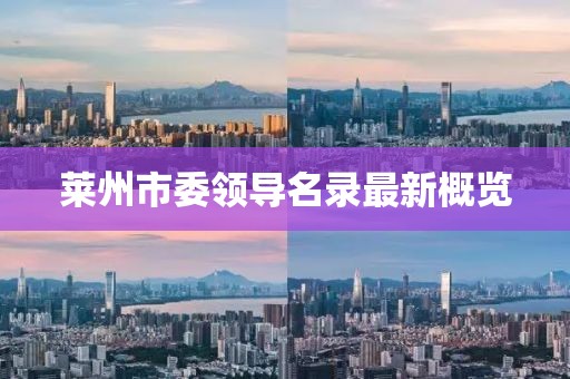 莱州市委领导名录最新概览