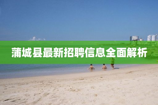 蒲城县最新招聘信息全面解析