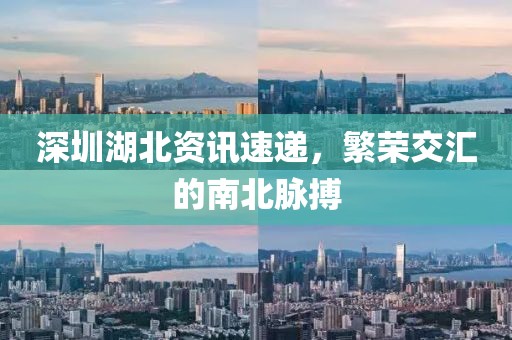 深圳湖北资讯速递，繁荣交汇的南北脉搏