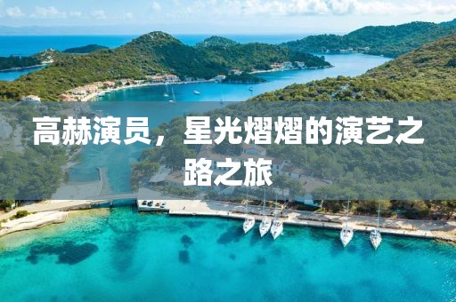 高赫演员，星光熠熠的演艺之路之旅