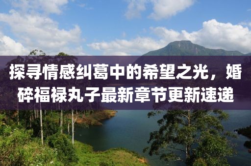 探寻情感纠葛中的希望之光，婚碎福禄丸子最新章节更新速递