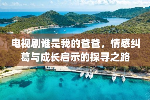 电视剧谁是我的爸爸，情感纠葛与成长启示的探寻之路