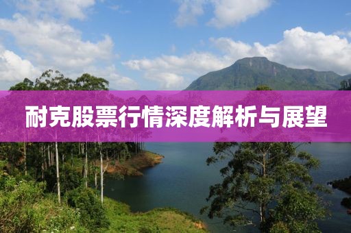 耐克股票行情深度解析与展望