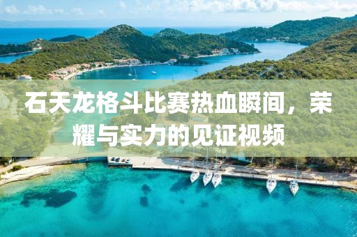 石天龙格斗比赛热血瞬间，荣耀与实力的见证视频