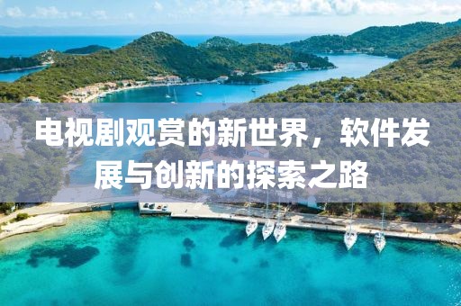 电视剧观赏的新世界，软件发展与创新的探索之路