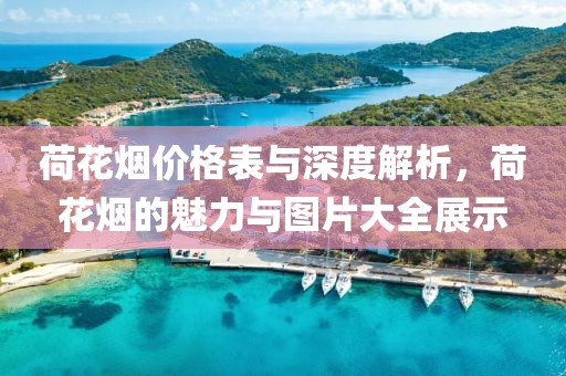 荷花烟价格表与深度解析，荷花烟的魅力与图片大全展示