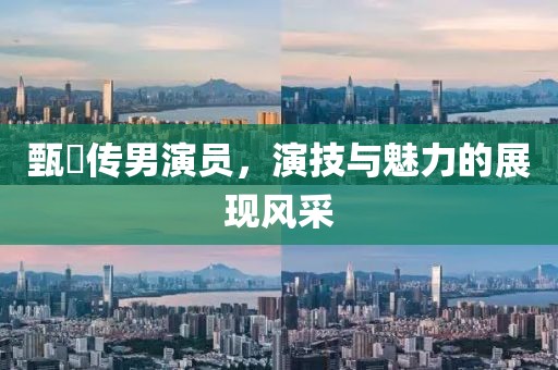 甄嬛传男演员，演技与魅力的展现风采