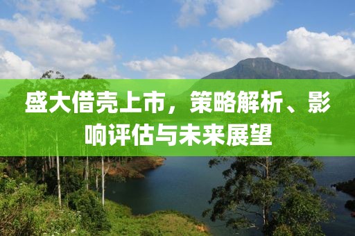 盛大借壳上市，策略解析、影响评估与未来展望