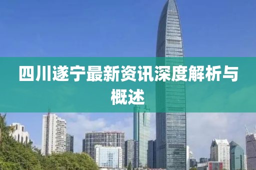 四川遂宁最新资讯深度解析与概述