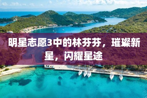 明星志愿3中的林芬芬，璀璨新星，闪耀星途