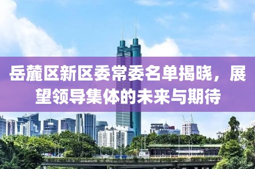 岳麓区新区委常委名单揭晓，展望领导集体的未来与期待