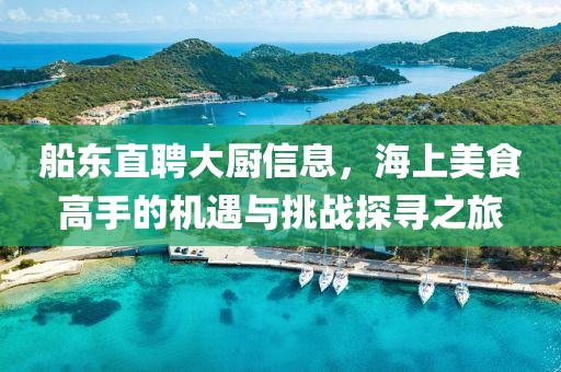 船东直聘大厨信息，海上美食高手的机遇与挑战探寻之旅