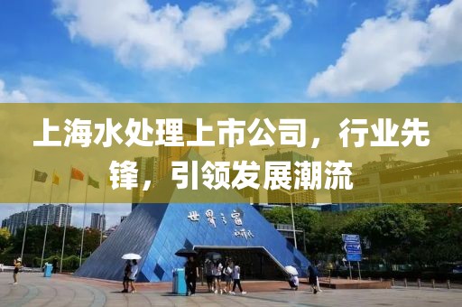 上海水处理上市公司，行业先锋，引领发展潮流