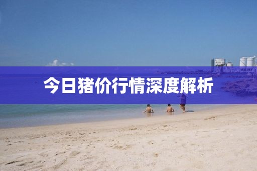 今日猪价行情深度解析