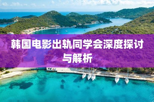 韩国电影出轨同学会深度探讨与解析