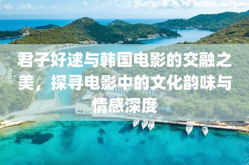 君子好逑与韩国电影的交融之美，探寻电影中的文化韵味与情感深度