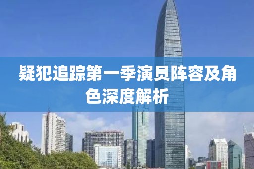 疑犯追踪第一季演员阵容及角色深度解析