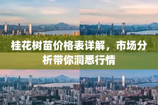 桂花树苗价格表详解，市场分析带你洞悉行情