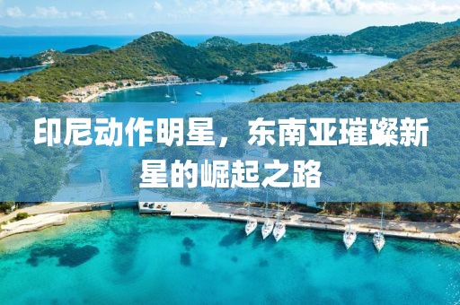 印尼动作明星，东南亚璀璨新星的崛起之路