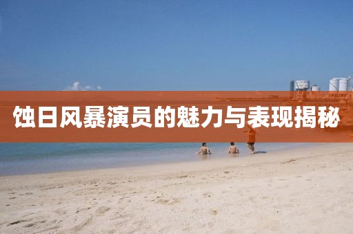 蚀日风暴演员的魅力与表现揭秘