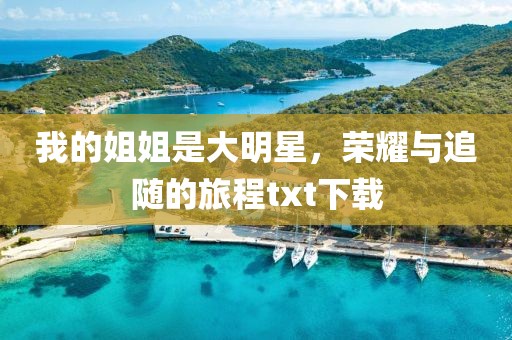 我的姐姐是大明星，荣耀与追随的旅程txt下载