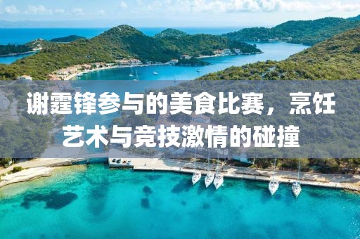 谢霆锋参与的美食比赛，烹饪艺术与竞技激情的碰撞