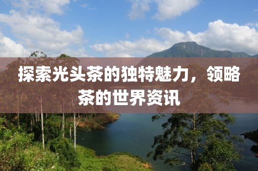 探索光头茶的独特魅力，领略茶的世界资讯
