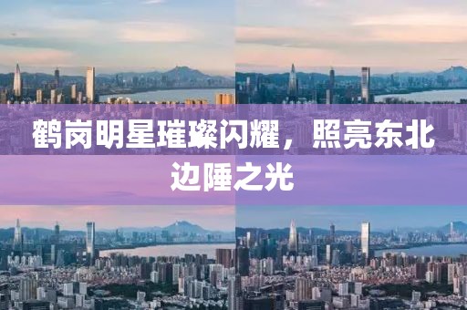鹤岗明星璀璨闪耀，照亮东北边陲之光