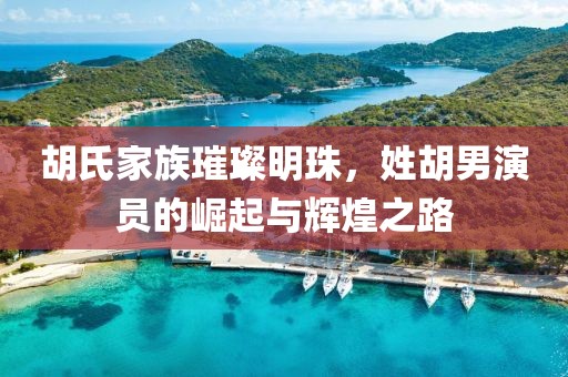 胡氏家族璀璨明珠，姓胡男演员的崛起与辉煌之路