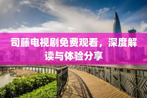 司藤电视剧免费观看，深度解读与体验分享