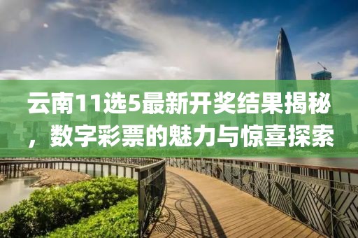云南11选5最新开奖结果揭秘，数字彩票的魅力与惊喜探索