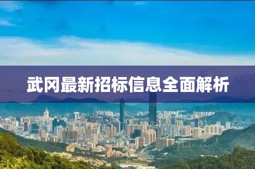 武冈最新招标信息全面解析