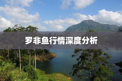 罗非鱼行情深度分析