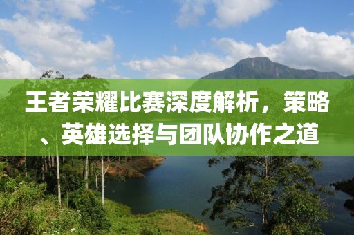 王者荣耀比赛深度解析，策略、英雄选择与团队协作之道