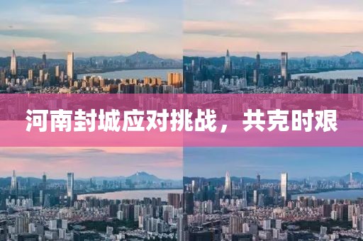 河南封城应对挑战，共克时艰
