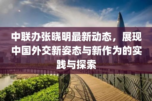 中联办张晓明最新动态，展现中国外交新姿态与新作为的实践与探索