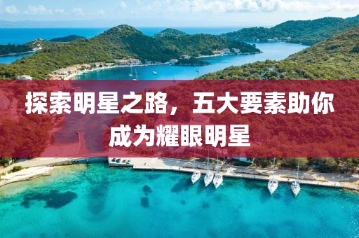 探索明星之路，五大要素助你成为耀眼明星