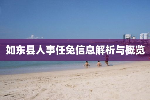如东县人事任免信息解析与概览