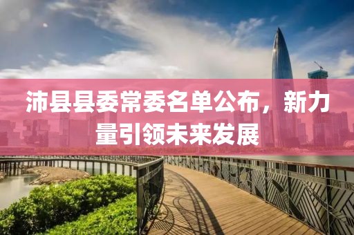沛县县委常委名单公布，新力量引领未来发展