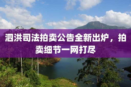 泗洪司法拍卖公告全新出炉，拍卖细节一网打尽