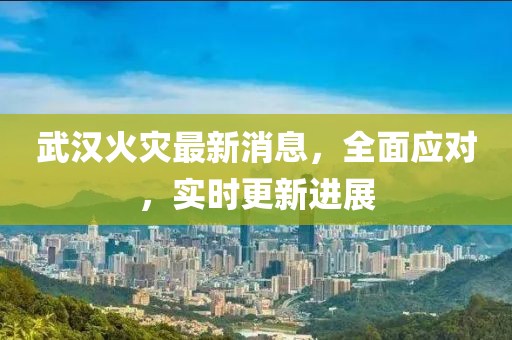 武汉火灾最新消息，全面应对，实时更新进展