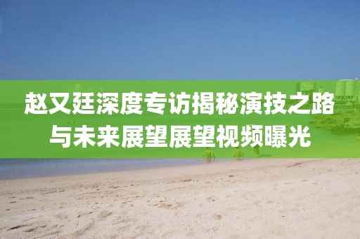 赵又廷深度专访揭秘演技之路与未来展望展望视频曝光