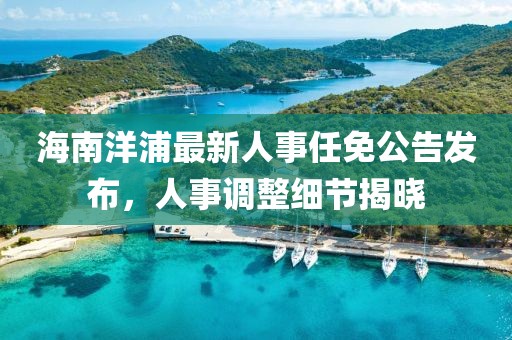 海南洋浦最新人事任免公告发布，人事调整细节揭晓