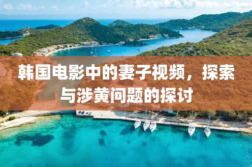 韩国电影中的妻子视频，探索与涉黄问题的探讨
