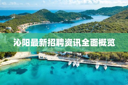 沁阳最新招聘资讯全面概览