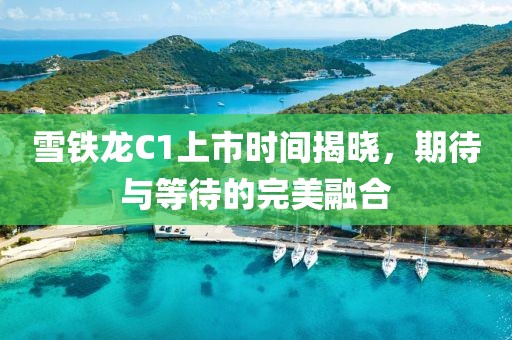 雪铁龙C1上市时间揭晓，期待与等待的完美融合