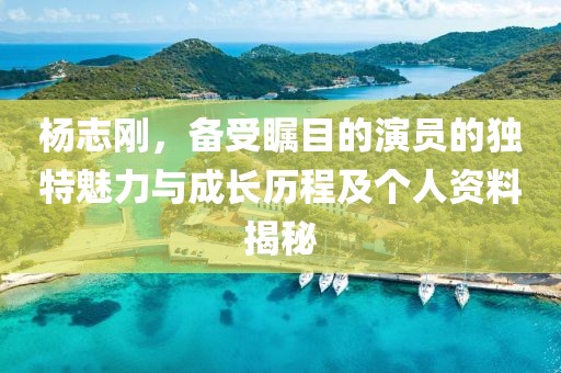 杨志刚，备受瞩目的演员的独特魅力与成长历程及个人资料揭秘